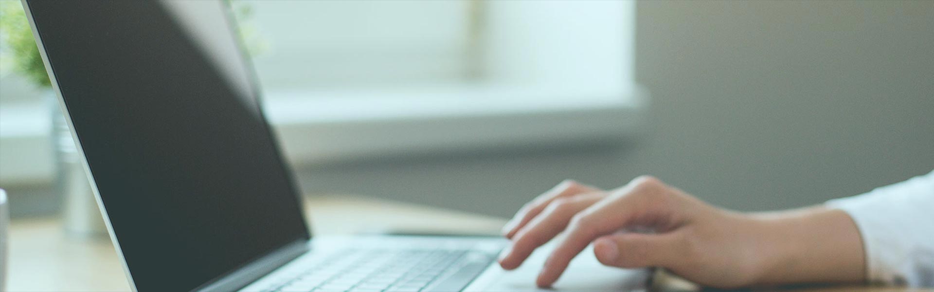 డౌన్‌లోడ్ చేయండి